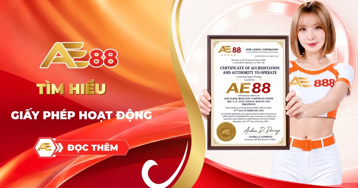 Giấy phép hoạt động ae88
